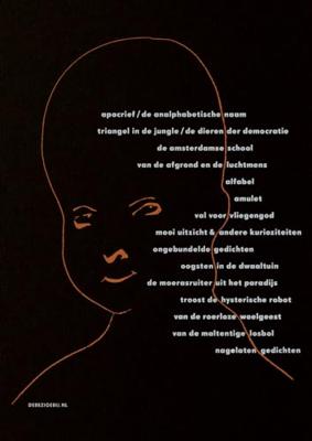 Lucebert (Paperback) Lucebert (Paperback)
