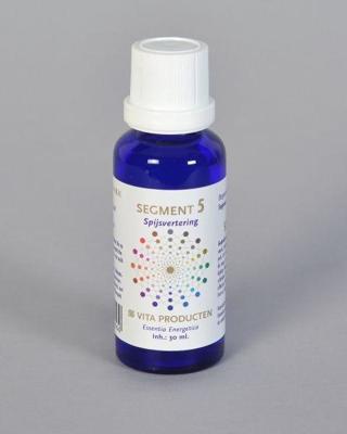 Segment 5 spijsvertering Segment 5 spijsvertering