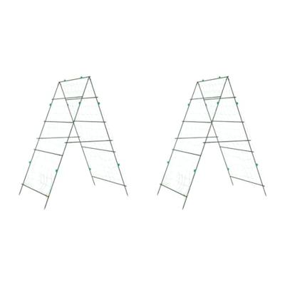 Plantenklimrekken 2 st A-frame staal