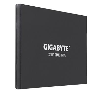 GIGABYTE   GP-GSTFS30256GTTD - Solid state drive - 256 GB - intern -
