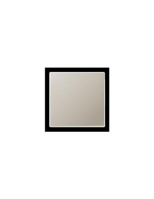Jung LS990 edelstaal knop ES2990