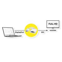 ROLINE DisplayPort/DVI Adapter, DP Male - DVI Female - thumbnail