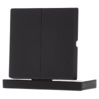 Busch-Jaeger 2CKA001751A3038 Serietoets Afdekking Diepzwart (RAL 9005), Zwart 1 stuk(s) - thumbnail