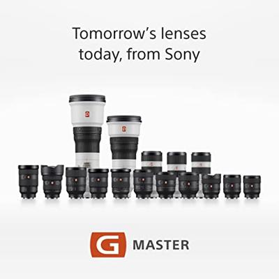 Sony SEL 35mm/F1.4 FE Full Frame premium master - thumbnail