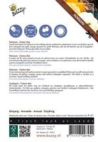 Zaden Ornamental Patisson Colour Mix Buzzy - Buzzy - thumbnail