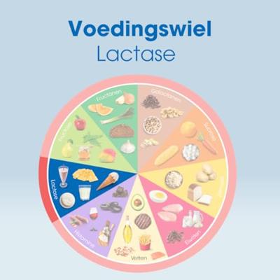 Lactase 20.000 - Testpack 6 Breektabletten | Lactose Intolerantie | Hoogst gedoseerd | Bevat Lactase dat helpt bij verteren van Lactose | Intoleran