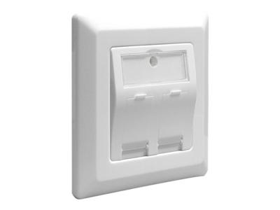 DeLOCK Keystone Wall Outlet 2 Port doos