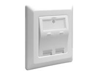 DeLOCK Keystone Wall Outlet 2 Port doos - thumbnail