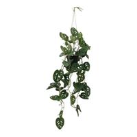 Monstera mask hang 105 cm kunstplant Buitengewoon de Boet - Buitengewoon de boet - thumbnail