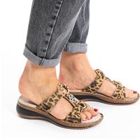 Ara 1229003 - alle - thumbnail