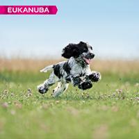Eukanuba Puppy puppy puppy voor middelgrote rassen – gebalanceerd droogvoer met verbeterde, nieuwe formule voor puppy's in de leeftijd van 1 – 12 maanden in de smaak kip – 1 x zakje van 12 kg - thumbnail