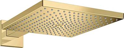 Hoofddouche HansGrohe Raindance E 300 1jet Met Douche-arm Gepolijst Goud