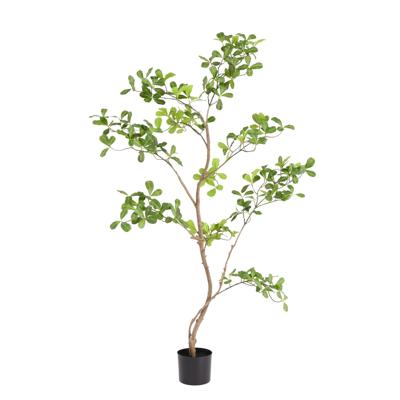 Pittosporum kunstplant 120cm