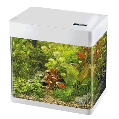 Superfish Panorama 35 Wit Aquarium 35L - Gebogen Glas met Energiezuinige LED Verlichting