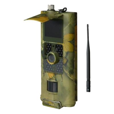 Braun Black700phone wildcamera