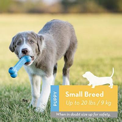 KONG PUPPY GOODIE BONE ROZE OF BLAUW ASSORTI 13X5X3 CM - thumbnail