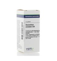 VSM Anacardium orientale C30 4 Gram - thumbnail