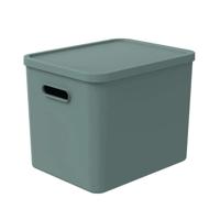 Rotho albula multibox 29.5x29x37 cm 27l mistletoe groen - thumbnail