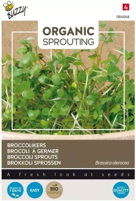 Zaden Bio Knip & Eet Broccolikers (BIO) Buzzy - Buzzy Zaden Bio Knip & Eet Broccolikers (BIO) Buzzy - Buzzy