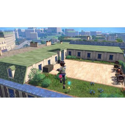 Draagbare Spelcomputer Nintendo 10016318