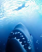 Jaws 3D Poster - thumbnail