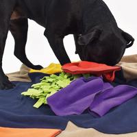 Knauder's Best Honden-snuffelmat Flower Pad, bont - thumbnail