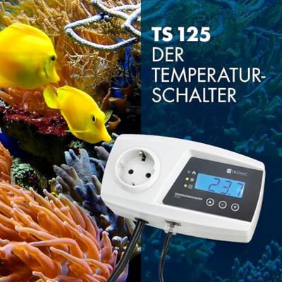 H-Tronic TS125 Version 3 Temperatuurschakelaar 125 - -55 °C H-Tronic TS125 Version 3 Temperatuurschakelaar 125 - -55 °C
