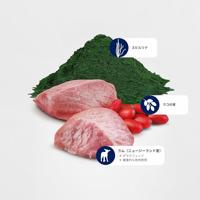 FARMINA N&D Spirulina Lamb Puppy Mini - droog hondenvoer - 2 kg - thumbnail