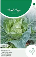 Zaden Wittekool Express Vroege Spitse Hortitops - Hortitops - thumbnail