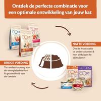 Wellness CORE Ocean, zalm & tonijn, 4kg, droogvoer voor alle katten, ondersteunt een gezonde vacht & huid, natuurlijk & graanvrij droog kattenvoer - thumbnail
