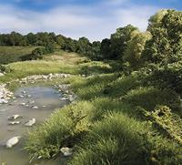 Woodland Scenics WFC683 Bladmateriaal Groen (gemiddeld) - thumbnail