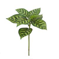 Calathea Makoyana Kunstplant 25cm bont - thumbnail