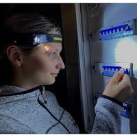TFA Dostmann LUMATIC FREE Veiligheidslamp, Hoofdlamp LED werkt op een accu 350 lm - thumbnail