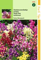 Zaden Linaria Vlasleeuwenbekje Fairy Bouquet gemengd Hortitops - Hortitops - thumbnail