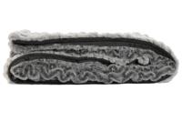 Deken Home ESPRIT Grijs 130 x 170 x 2 cm - thumbnail