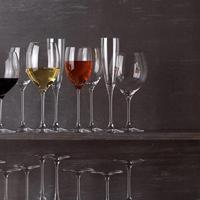 VILLEROY & BOCH - Maxima - Champagne glas 26,5cm - thumbnail