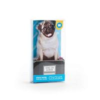 Mosterd Hond In Een Doos - thumbnail