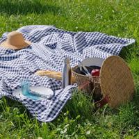 Wicotex tafelkleed textiel ruit blauw rond 180 cm - thumbnail