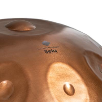 Sela SE 321 Harmony Handpan D Amara 10 Phoenix Steel roestvrij staal