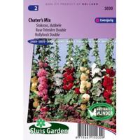 Alcea Rosea 2-jarig Stokroos zaden Double Chaters - thumbnail