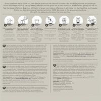 Pokon kokos potgrond compact 10 liter - thumbnail