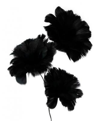 Gifts Amsterdam Verenbloemen Op Steel 75 Cm Zwart