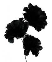 Gifts Amsterdam Verenbloemen Op Steel 75 Cm Zwart - thumbnail