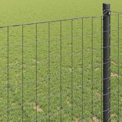 Euro Hek Grijs 1 x 25 m PVC-gecoat ijzer - thumbnail