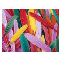 Colorations - gekleurde eendenveren, 28,5 gram - thumbnail