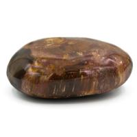 Jumbostenen van Versteend Hout - thumbnail