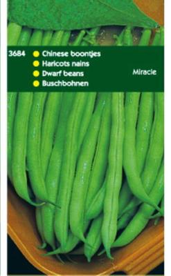 Zaden Chinese Boontjes Miracle 250g Tuinplus - Tuinplus Zaden Chinese Boontjes Miracle 250g Tuinplus - Tuinplus