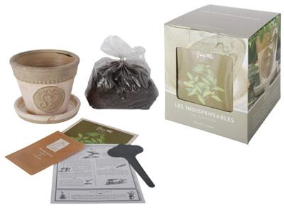 Kweekset Munt / Secrets du Potager Kweekset Munt / Secrets du Potager