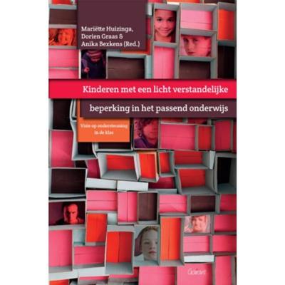 Kinderen met een licht verstandelijke beperking in het passend onderwijs (Paperback)