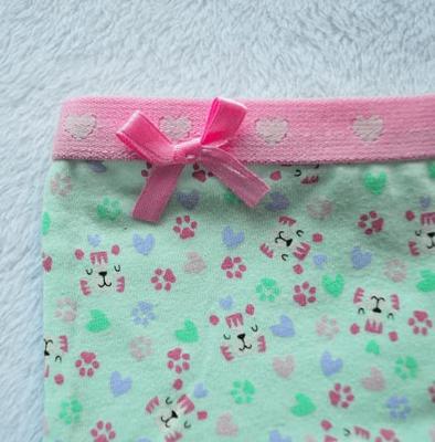 Funderwear meisjes setje Tiger - Onderbroek & Hemdje - Boxershorts - Roze - Groen - Paars